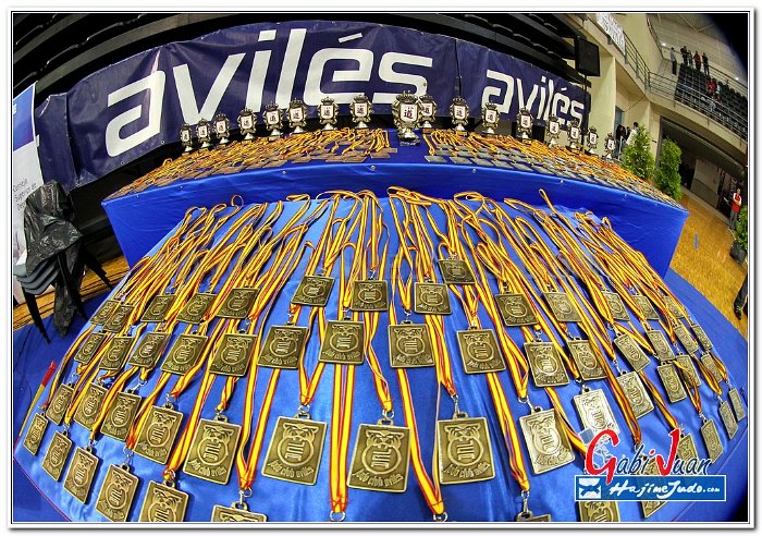 AVILES 2013002